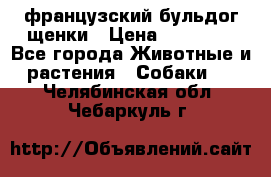 французский бульдог щенки › Цена ­ 50 000 - Все города Животные и растения » Собаки   . Челябинская обл.,Чебаркуль г.